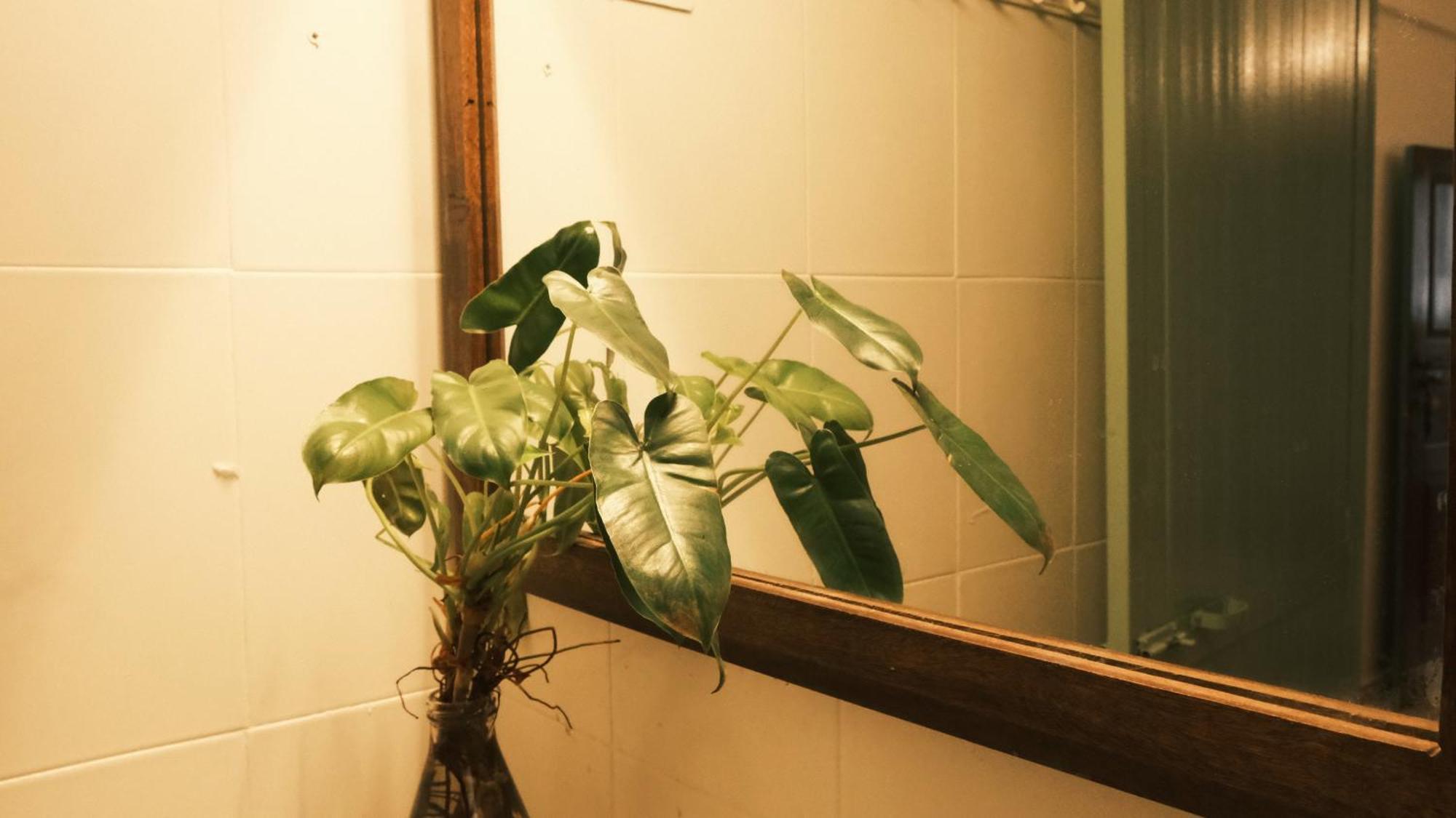 Coco Moon Hotel Morjim Bagian luar foto